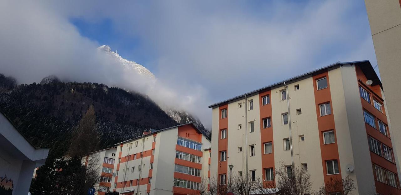 Apartament Silva Busteni Exterior photo